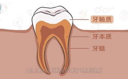 健康教育之齲齒的形成